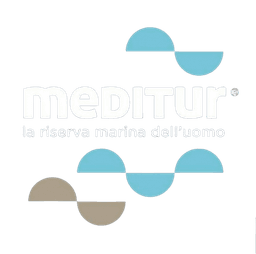 Meditur